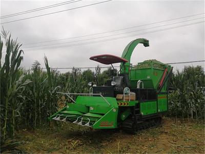 玉米收割機(jī)的多重優(yōu)勢 河南暢駿農(nóng)機(jī)為您詳解農(nóng)業(yè)機(jī)械化新趨勢